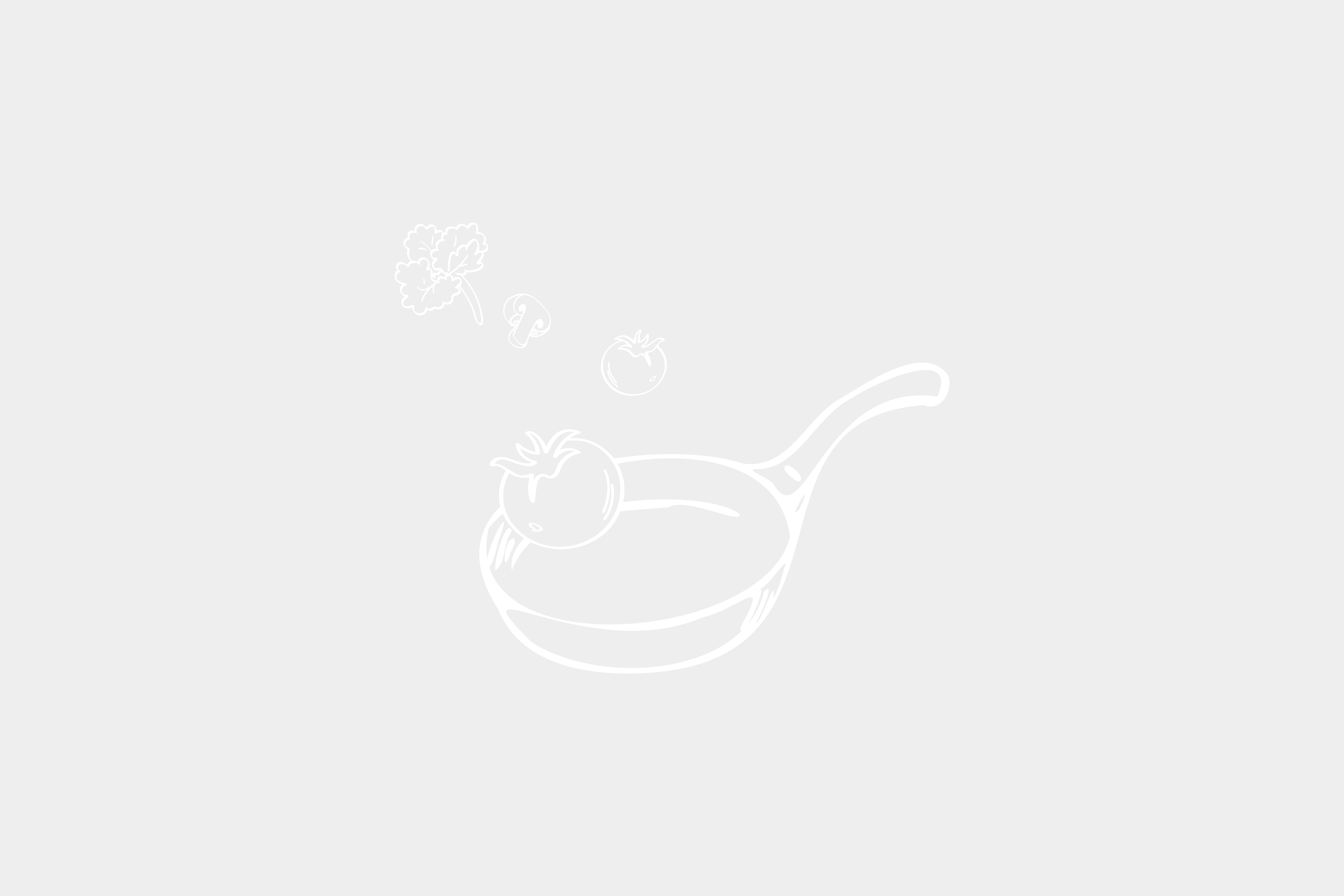 Lieu jaune cuit en croûte de sel Salies-De-Béarn cacao et jus de madiran