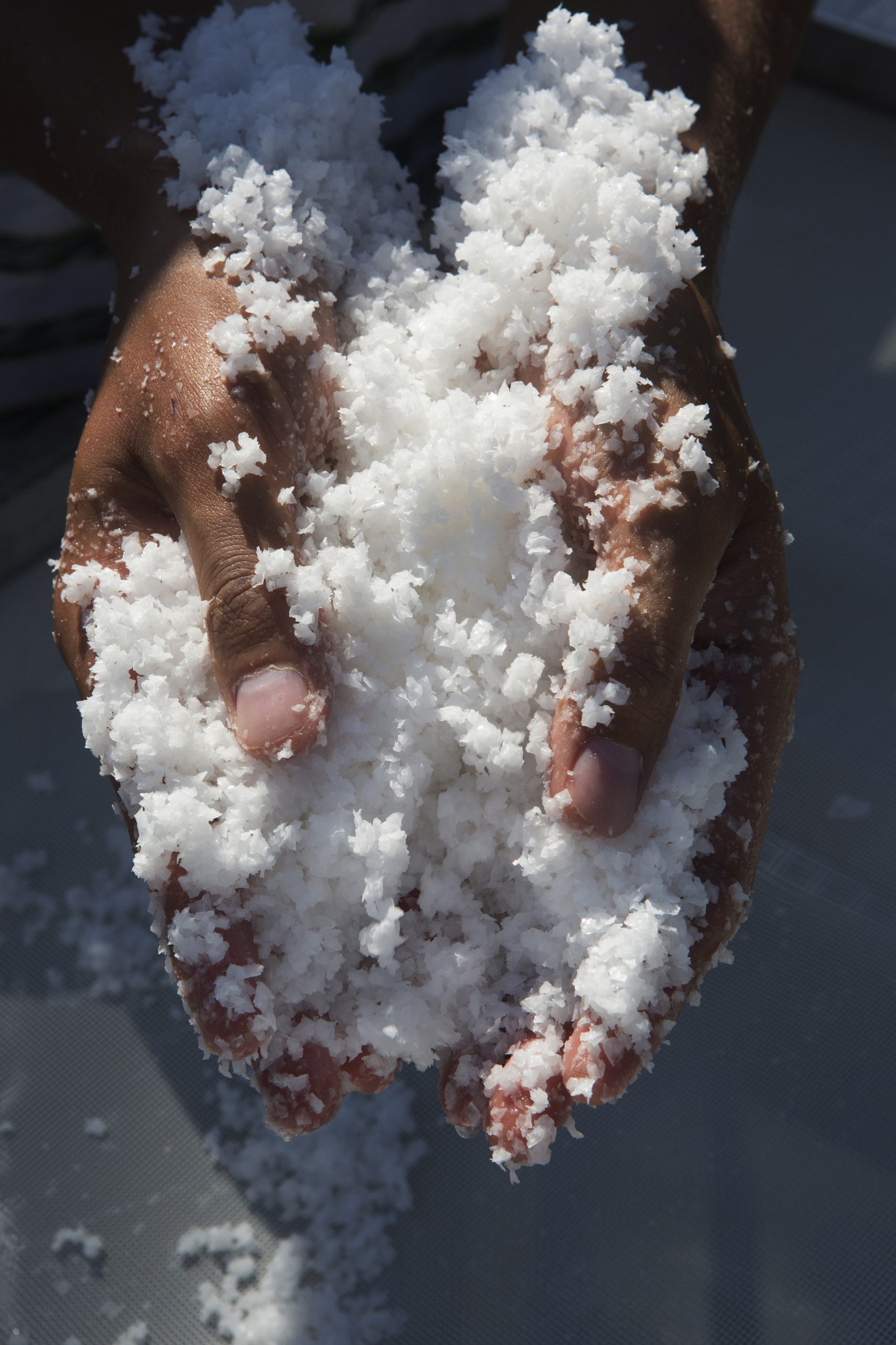 Sel de Salies-de-Béarn