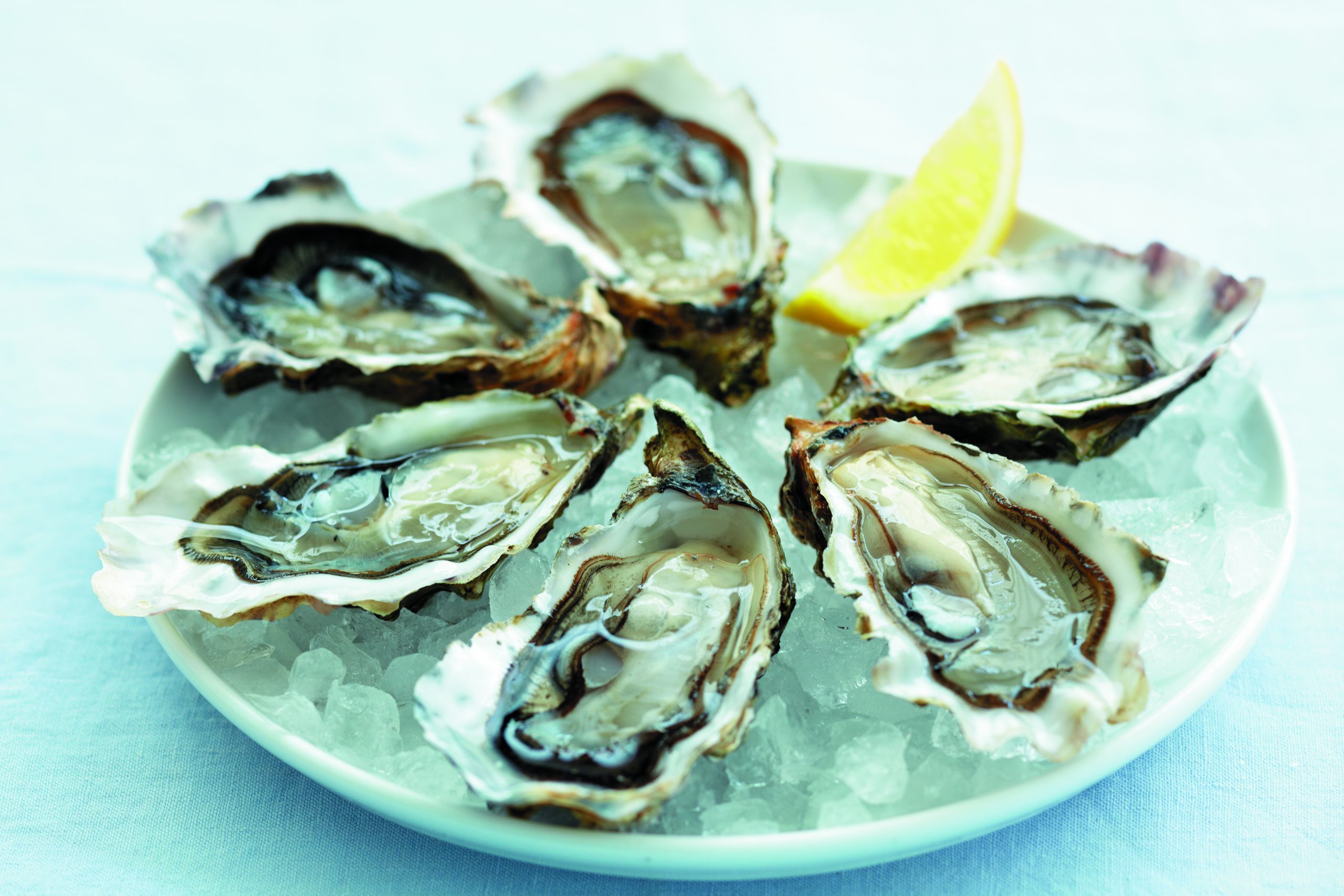 Huîtres Arcachon-Cap-Ferret