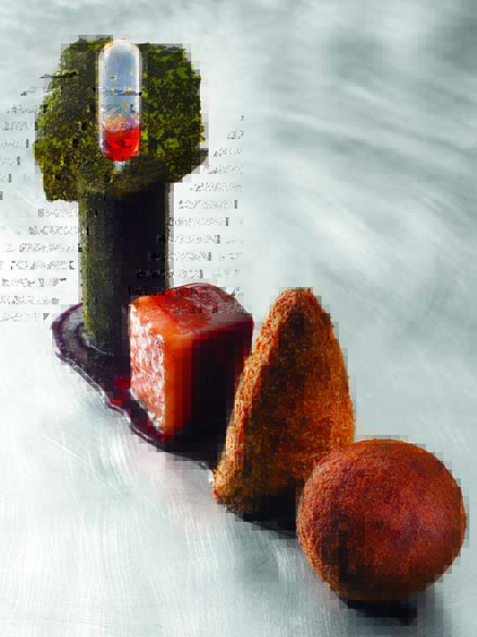 Canard à architecture variable jus de canard et pomme de terre persillade