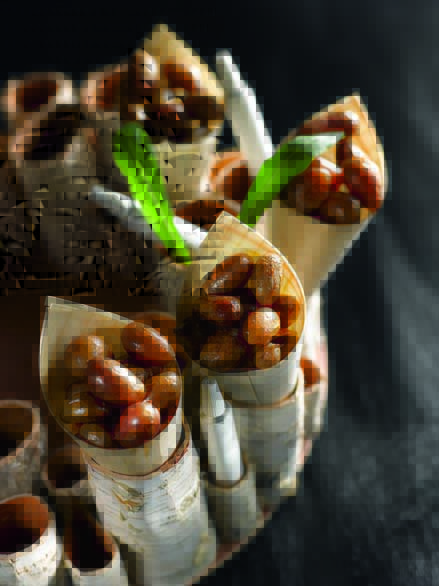 Cornet de pommes de terre d’Eysines confites, pommade culinaire à l’ail des ours