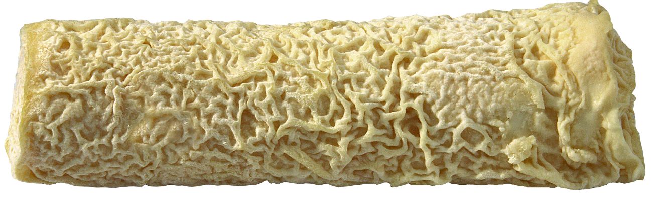 Fromage de Chèvre au lait cru