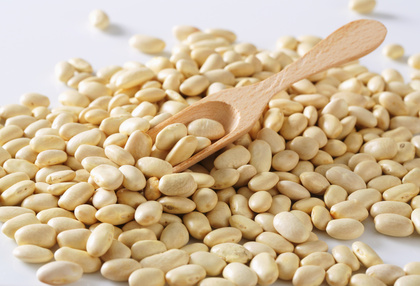 Haricot Maïs du Béarn