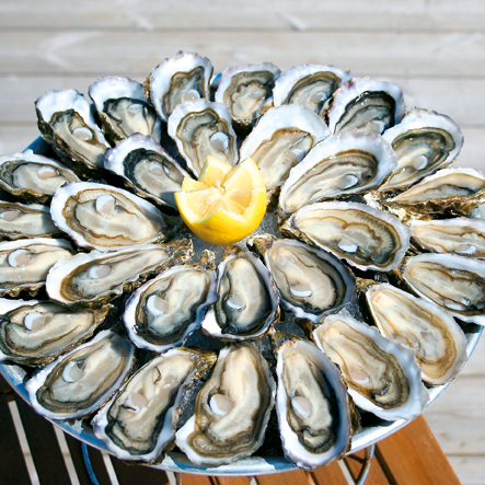 Huître d’Hossegor