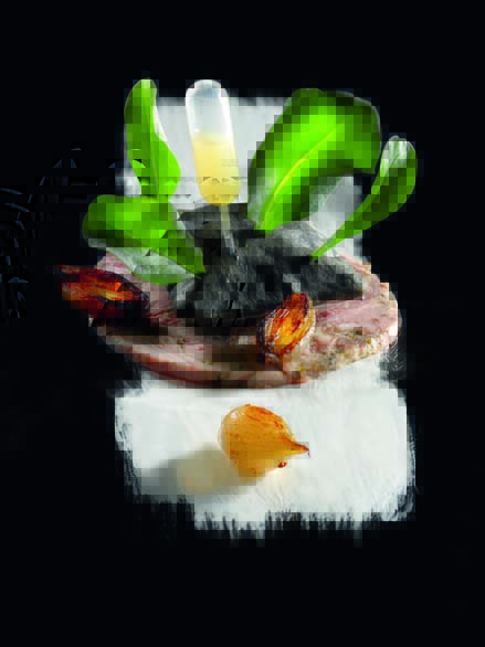 Huître végétale du bassin d’Arcachon sur un coussin de yuzu compotée d’échalote et carpaccio de grenier médocain