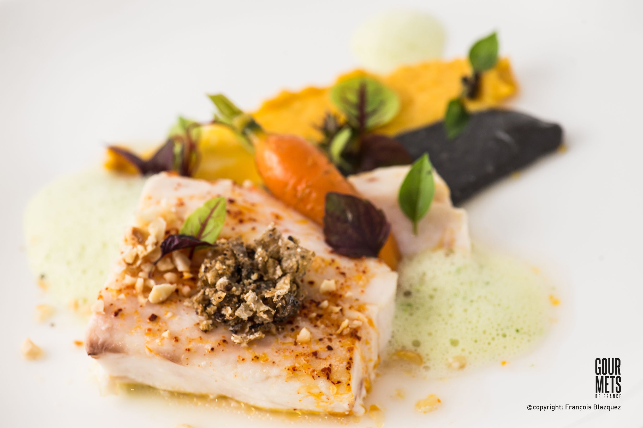 Le Maigre d’été Indien