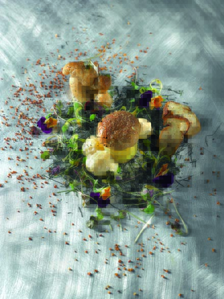 Moelleux aux cèpes, cresson de fontaine, émulsion de châtaigne fumée