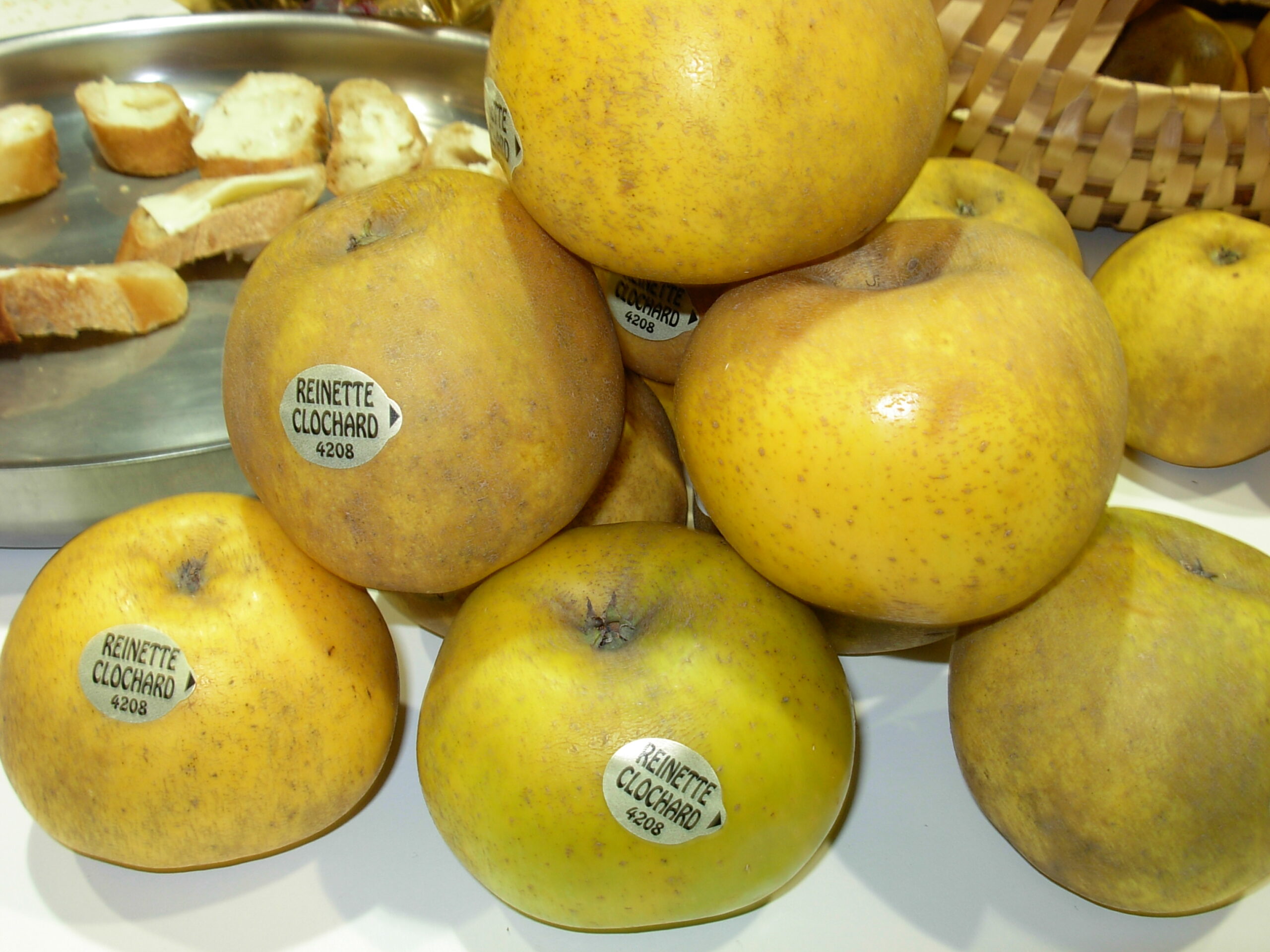 Pomme Reinette Clochard