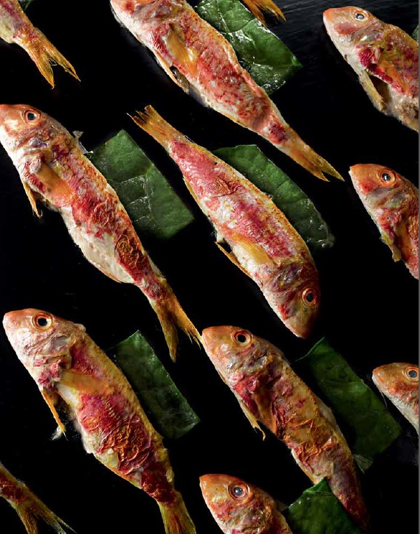 Rougets du bassin d’Arcachon farcis au vert