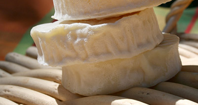 Salade de cabécou du Périgord, cresson et huile de noix : délice et santé dans l’assiette