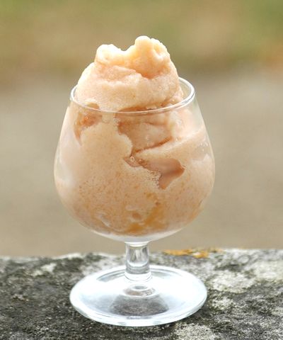 Sorbet au melon du Haut-Poitou
