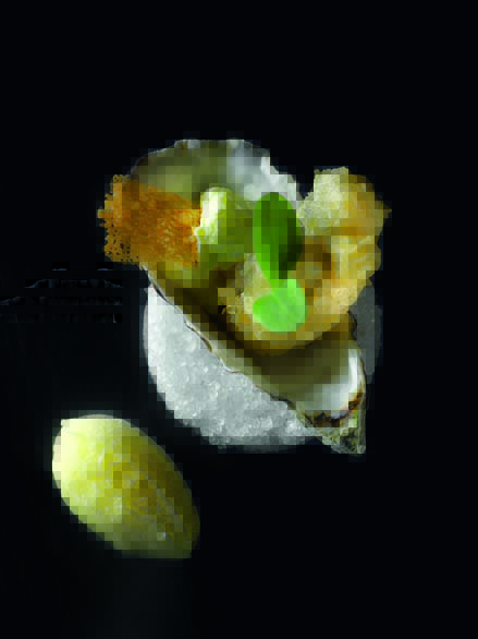 Tempura d’huîtres Arcachon-Cap Ferret, mousseline iodée et sorbet yusu