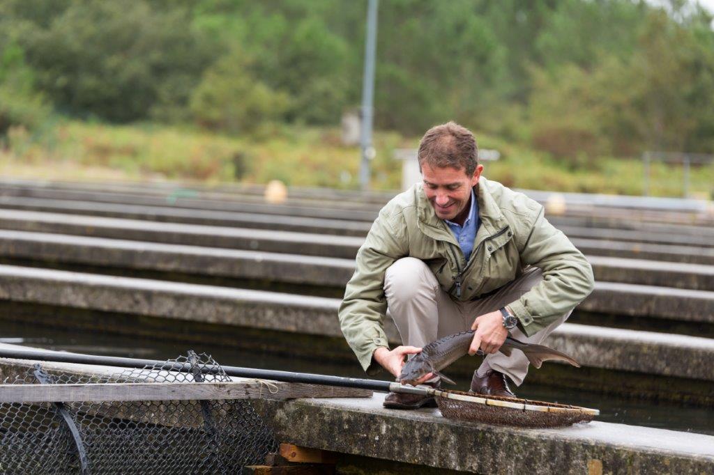 Caviar Perlita - Éric Bouloumie