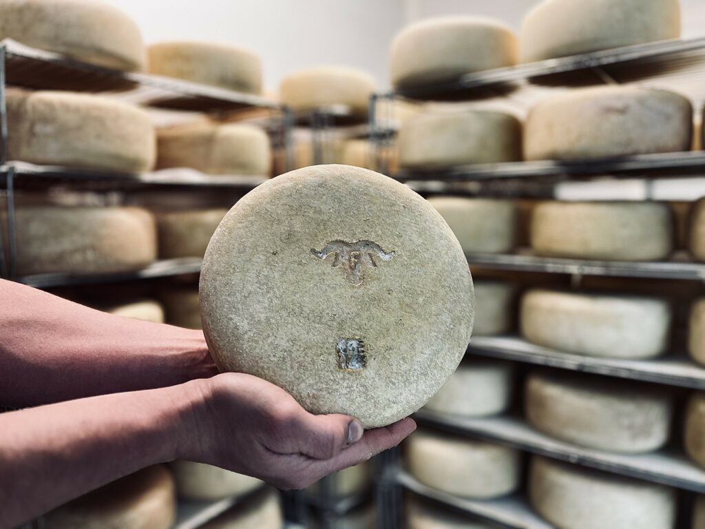 AOP Ossau Iraty fromage