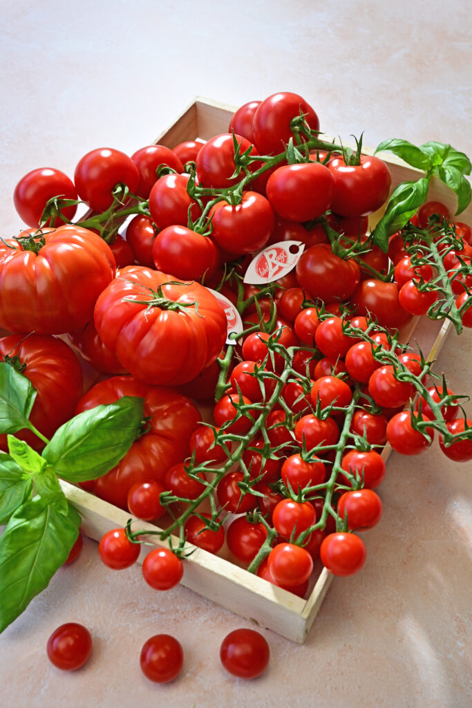 Cagette varietes tomates label rouge