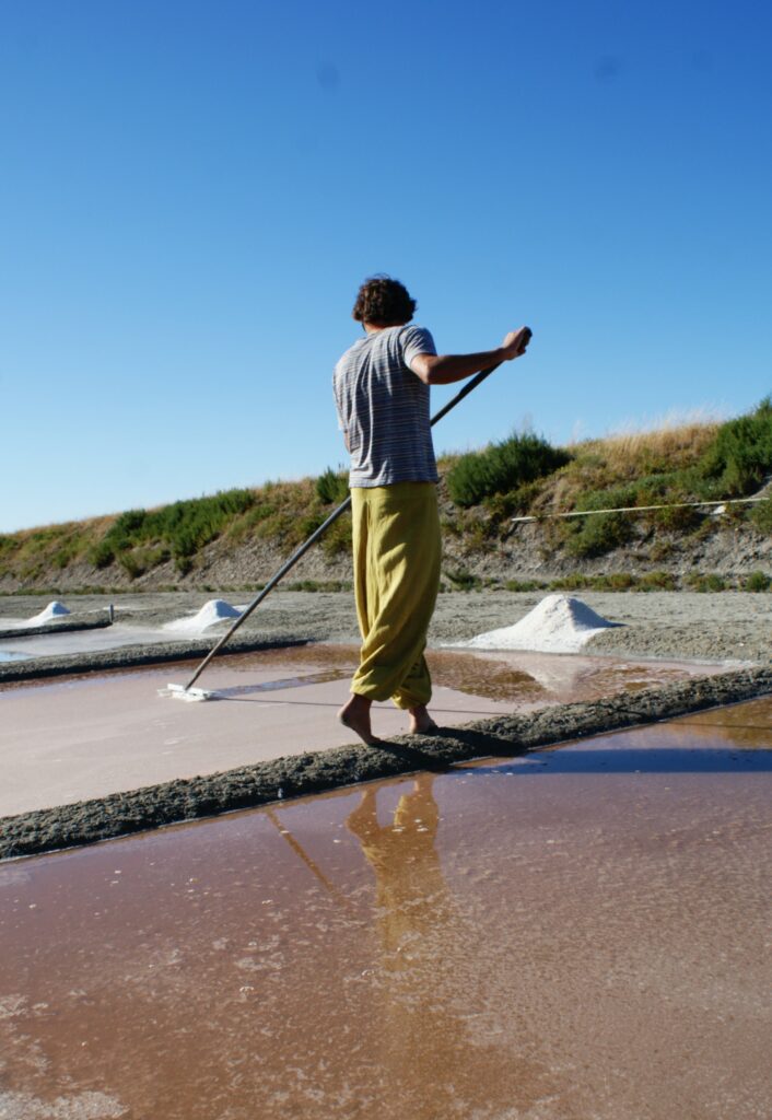 Fleur de Sel Ile de Re