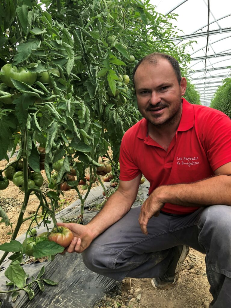 Frédéric Marchesin tomates label rouge