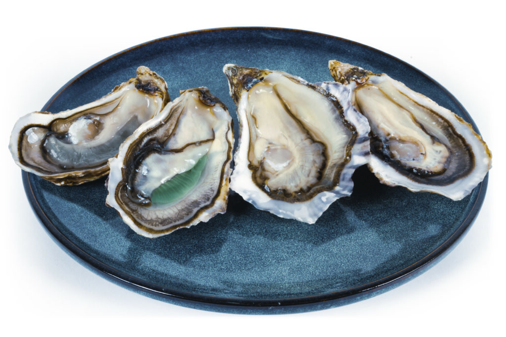 Huitres Marennes Oleron 