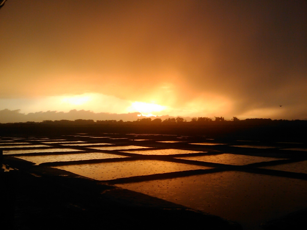 Sel et Fleur de Sel de l’Île de Ré IGP - coucher de soleil