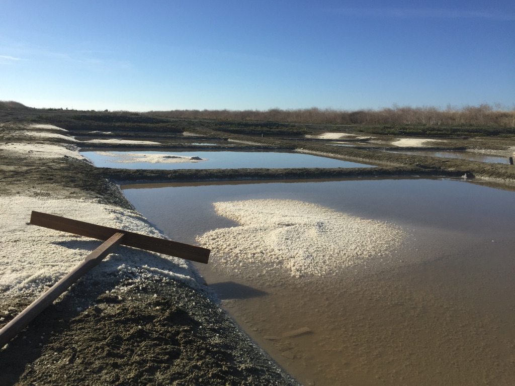 Sel et Fleur de Sel de l’Île de Ré IGP