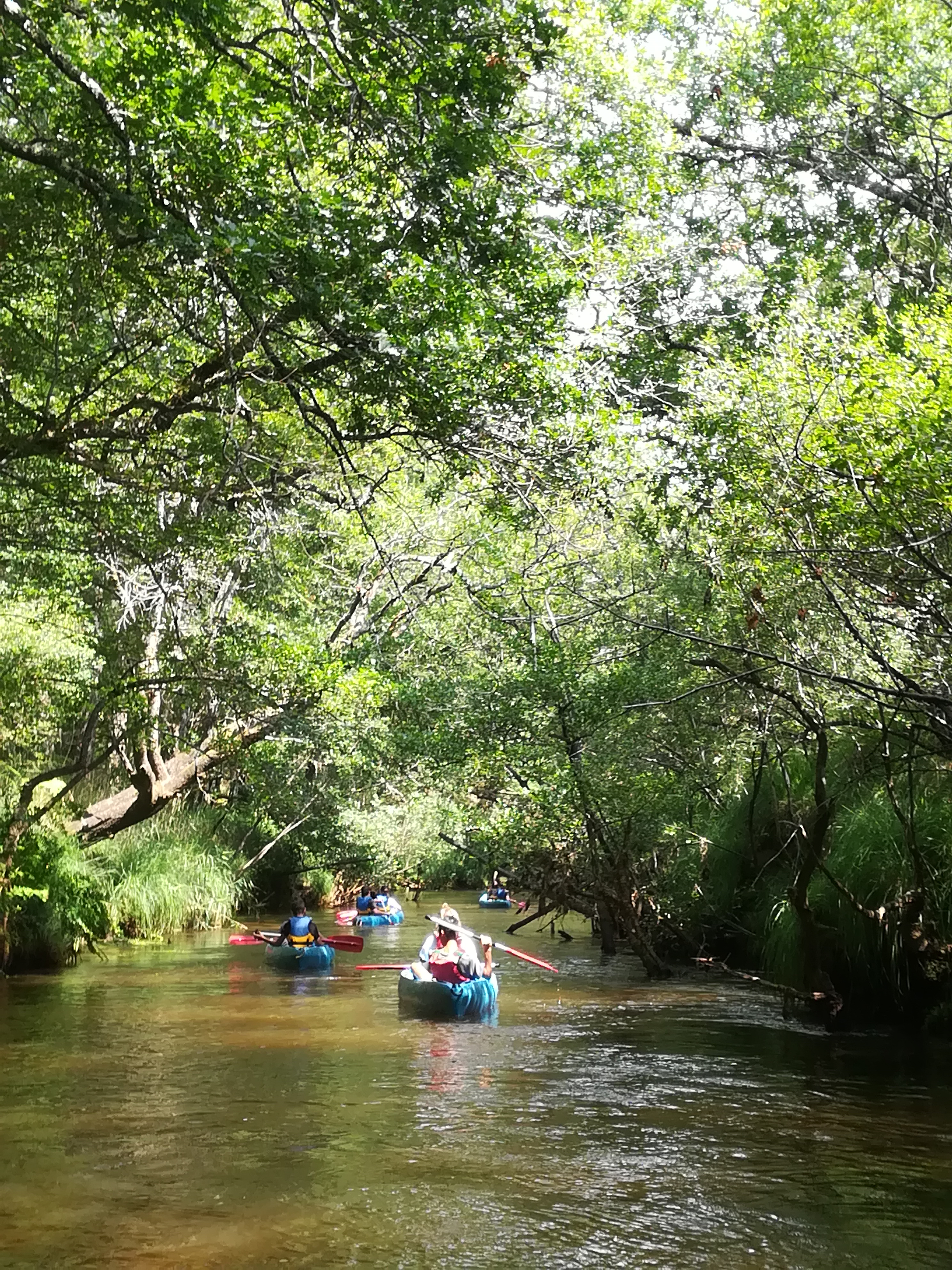 Location canoë – Taristourisme