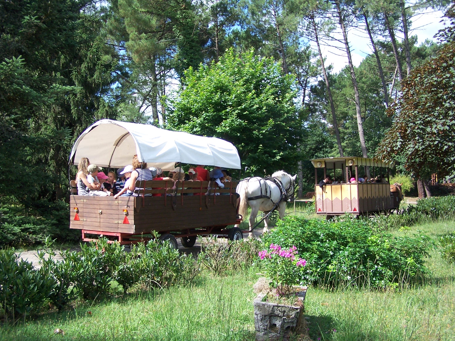 Attelage – Airial Lavigne