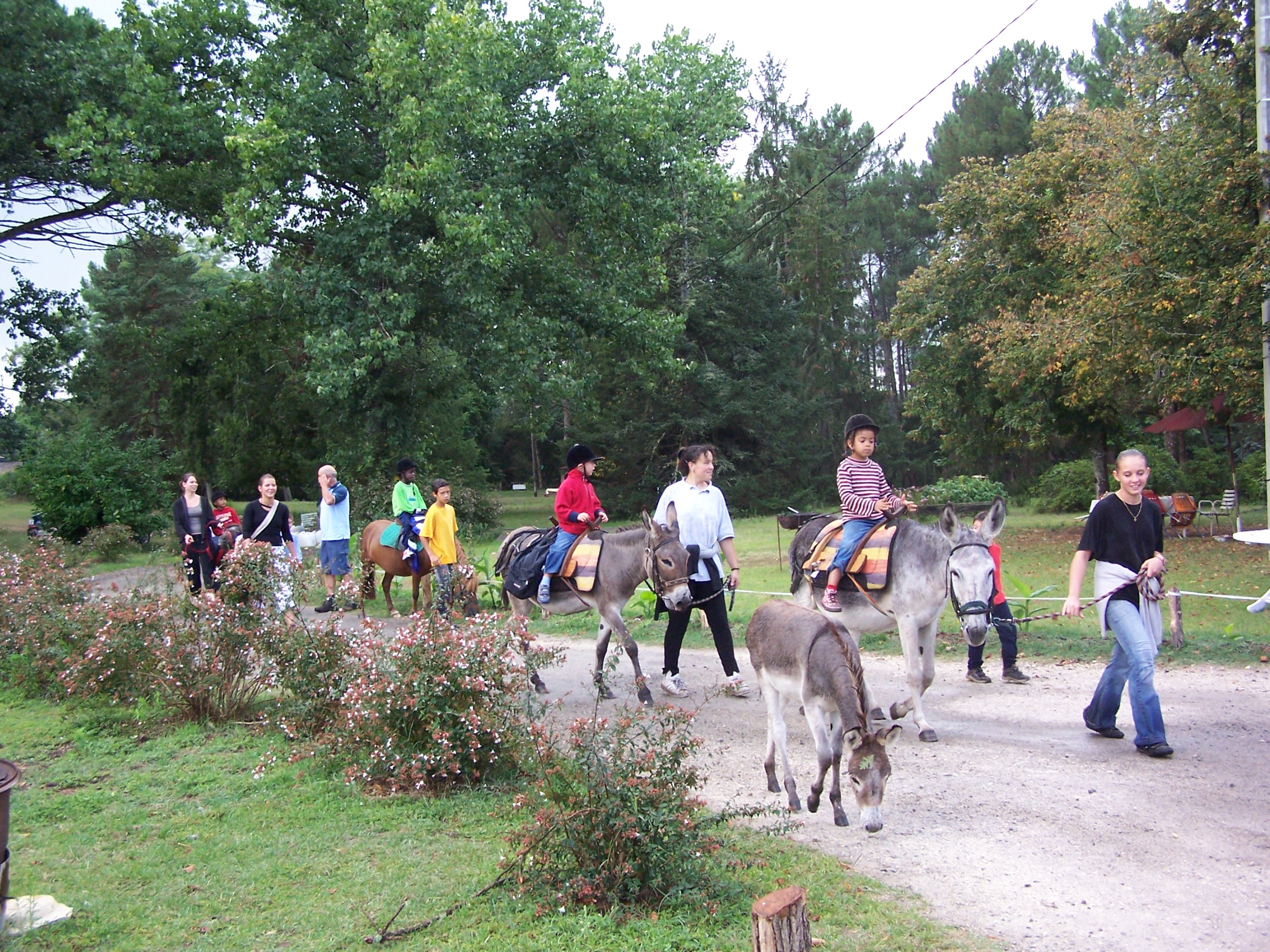 Ânes bâtés Taristourisme